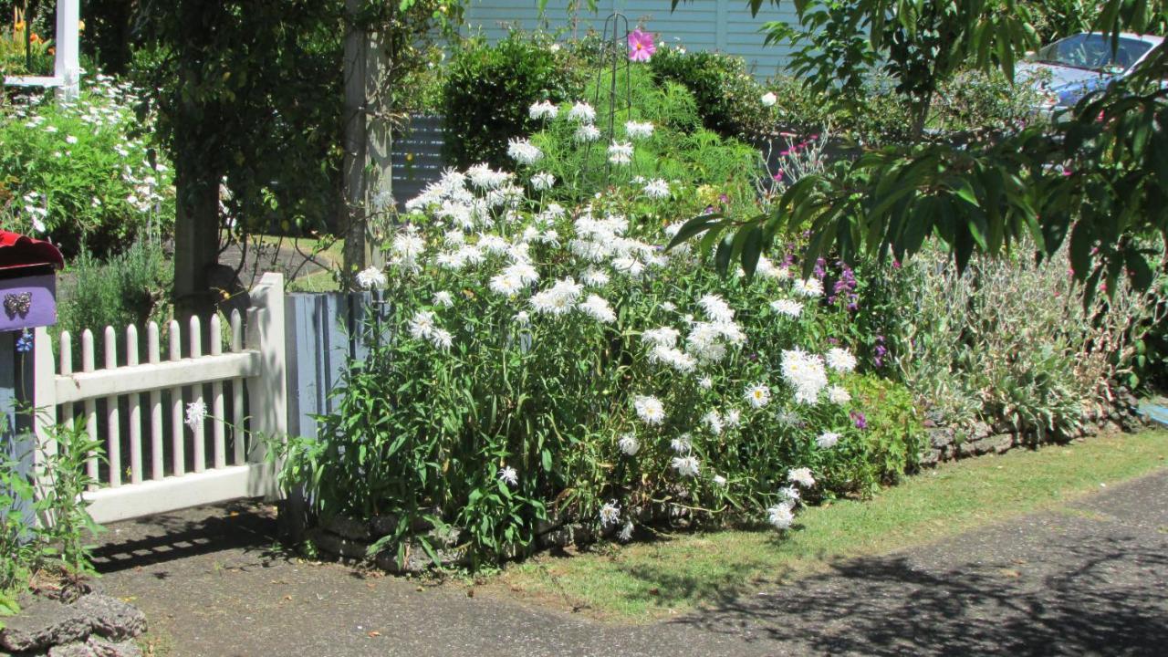 Apartament Cozy Haven - Waihi Zewnętrze zdjęcie