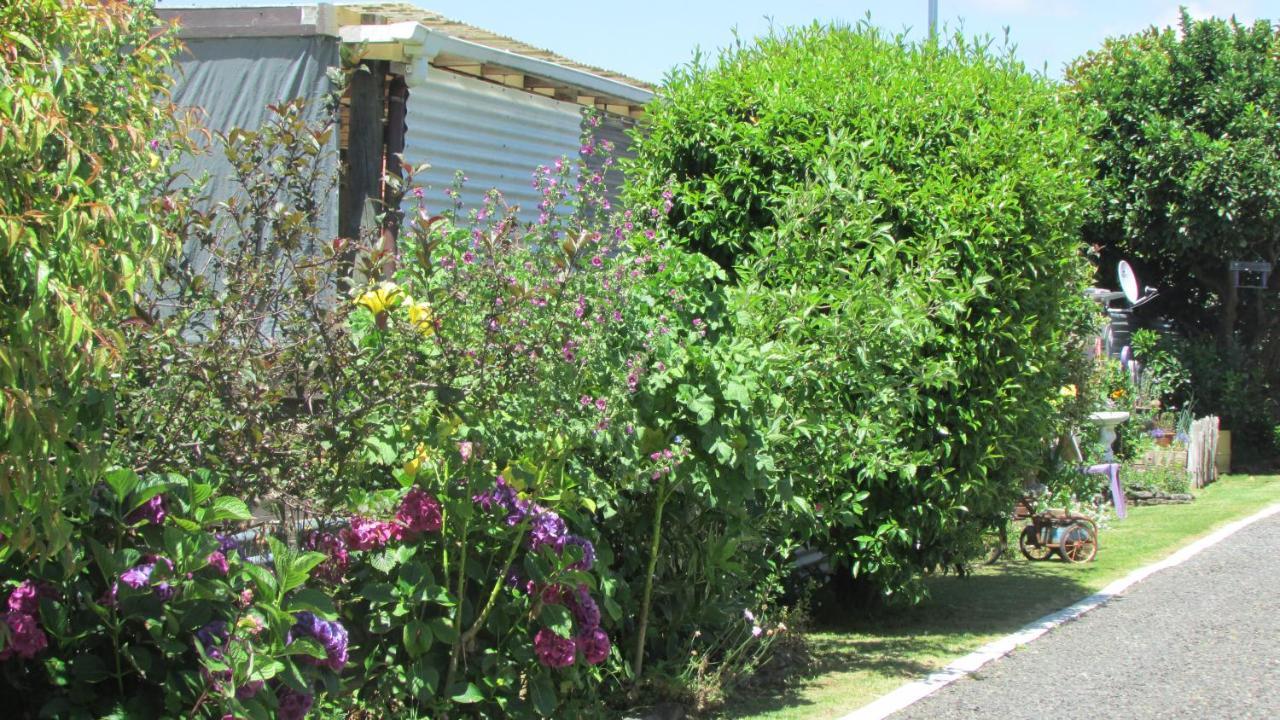Apartament Cozy Haven - Waihi Zewnętrze zdjęcie